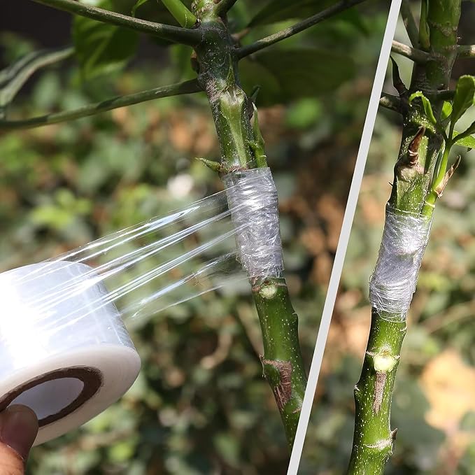 4 Pcs Grafting Tape for Fruit Trees,Garden Plant Nursery Tape Stretchable Self Adhesive Membrane Clear Floristry Film,Plant Repair Budding Tape