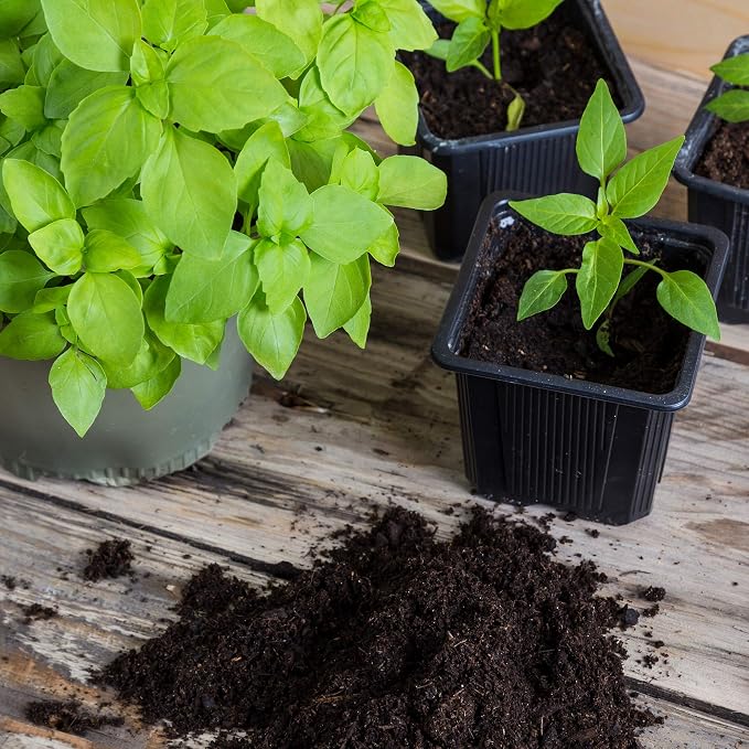 Minute Soil Block - Coco Coir - Compressed - Blocks & Bulk (1 Block)