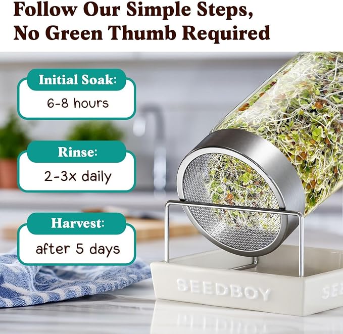 Seedboy Organic Non-GMO Sprouting Seeds, Superfood Blend - USA Grown Microgreens Mix with Broccoli, Radish, Pak Choi, Clover, Red Kale - 8 oz Makes 8 Quarts / 32 Servings (Superfood Blend)