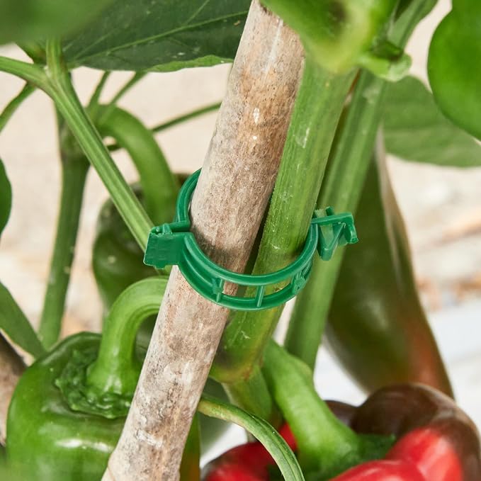 CIQIYO® 300 Pcs Plant Support Clips,Plastic Clips for Securing Plants,Tomato Vine Clips,Plant Fixing Clips,Garden Clips for Climbing Plants,Grape and Vine Vegetables (300, Green)