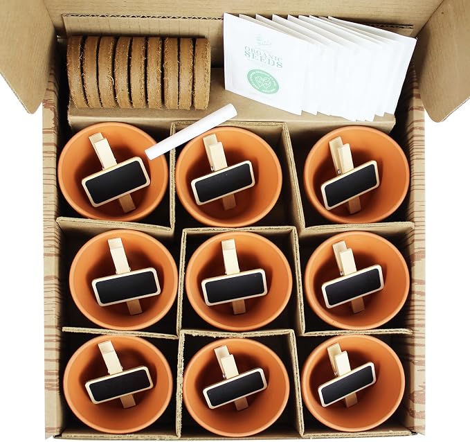 Buzzy Seeds Apothecary Garden Wellness Kit - Mini Terracotta Pot Grow Set - Complete Indoor/Outdoor Gardening Kit with Seeds, Coconut Husk Growing Medium & Genuine Pots - 100% Grow Guarantee