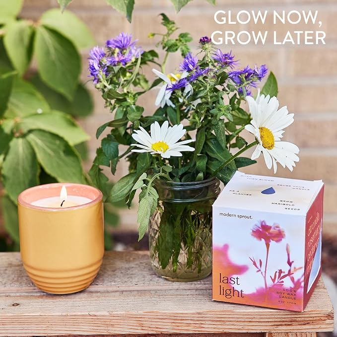 Modern Sprout - 2-in-1 Soy Candle & Planter Set - Patio Goals 3-Pack (Bug-Repelling Citronella, Rosemary, Cedarwood, Mint) 6 Oz Outdoor Scented Candles with Marigold Seeds - 38–40 Hour Burn