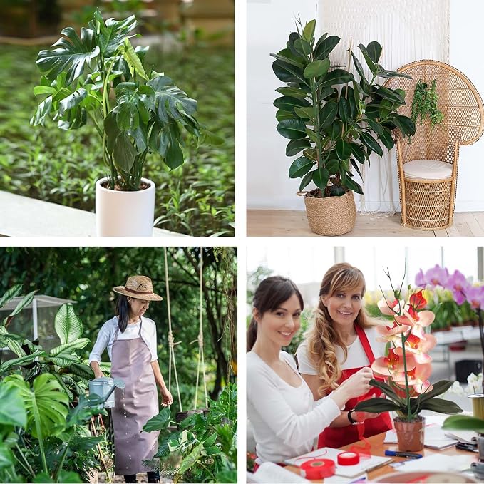 Yhtpouqe 4 Pack Plant Support Stakes, Plant Stakes for Indoor and Outdoor Plants. 28inch Plant Sticks with Extension Poles, Plant Clips, Plant Ties for Potted Monstera Plants, Climbing Plants
