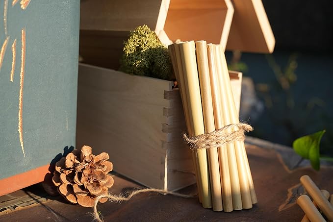 INature Bamboo Craft Tubes - 100 Count, 5" Eco-Friendly Sticks for DIY Bee Hotels, Solitary Bee Hives, and Pollinator Gardens