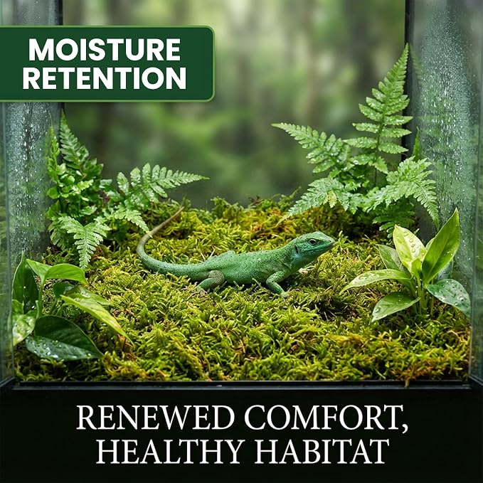 Sukh Sphagnum Moss for Reptiles - Terrarium Reptiles Moss Green Dried Peat Moss Habitat Bedding Moss for Snakes Turtle Frog Gecko and Other Reptiles Substrate (15.8, Ounces)