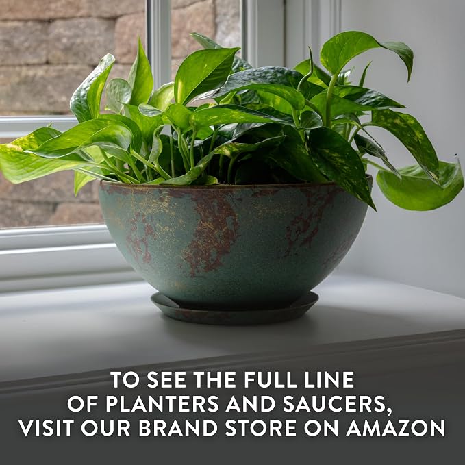 Classic Home and Garden by Growscape Rosie Modern Planter w/Drainage - Contemporary Planter Bowls - Shallow Round Vases for Small Plants - Versatile Indoor & Outdoor Pots (10” Northern Lights)