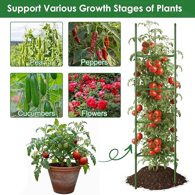 CEWOR Tomato Cage - 3 Pack Tomato Trellis, 63 Inch Tomato Cages for Garden, Extra Tall Plant Triangle Structures Garden Stakes for Climbing Plants Outdoor, Pots, Raised Garden Bed, Vegetables