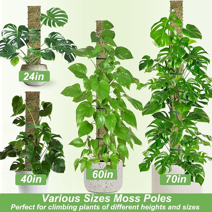 70" Metal Moss Pole, D Shape Sphagnum Moss Pole, Moss Poles for Climbing Plants, Monstera, Indoor Climbing Plants (2Pcs 70")
