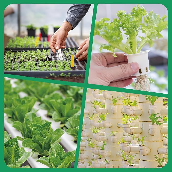 Haligo 50 Pcs Square Hydroponics Pods, Seed Starter Plugs Rapid Rooter, Grow Sponges for Cactus, Succulent, Replacement Cubes for Seeds or Cuttings