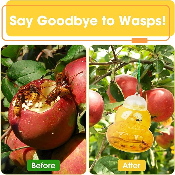 4 Pack Reusable Wasp Traps Outdoor Hanging Yellow Jacket Trap Carpenter Bee Traps for Outside Hornet Trap Wasp Catcher for Outdoors, Wasps Killer Garden, Farm, Insect Bug Flies