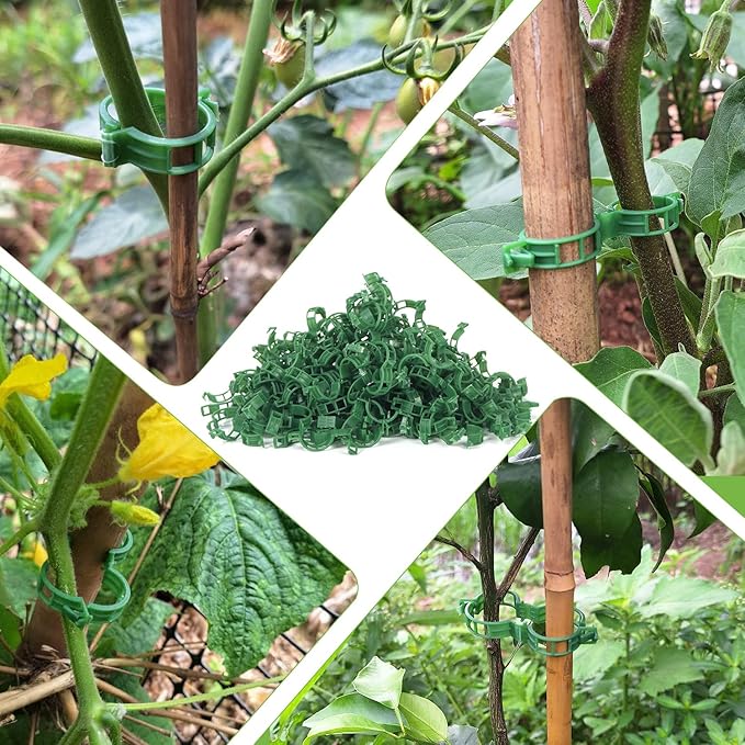 Aipker Tomato Clips, 200Pcs Plant Support Clips Garden Clips for Climbing Plants, Tomato Clips for String Trellis, Trellis Clips for Plants Support- Green