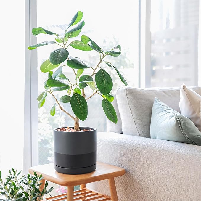 D'vine Dev 8 Inch Ceramic Planter Pot with Drainage Hole and Saucer, Indoor Cylinder Round Planter Pot, Slate, 94-O-D-5