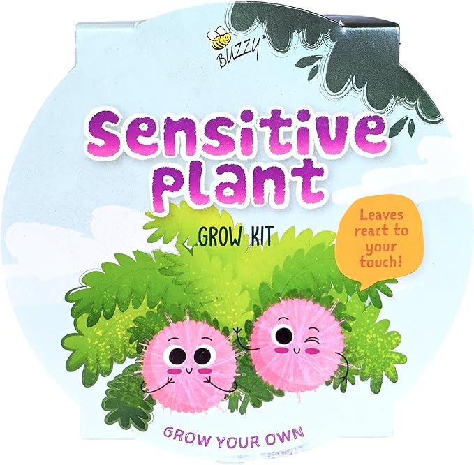 Buzzy Seeds Sensitive Plant Grow Kit - Basin Ceramic Planter - Complete Indoor Gardening Kit with Seeds, Coconut Husk Growing Medium & Genuine Pots - 100% Grow Guarantee