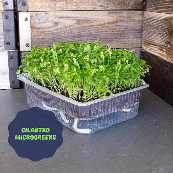 Self-Watering Indoor Microgreens Kit β Complete Soil-Based Growing Set for Vegetable and Herb Microgreens β Includes Black Sunflower, Pea Shoots, Swiss Chard, and Cilantro Seeds