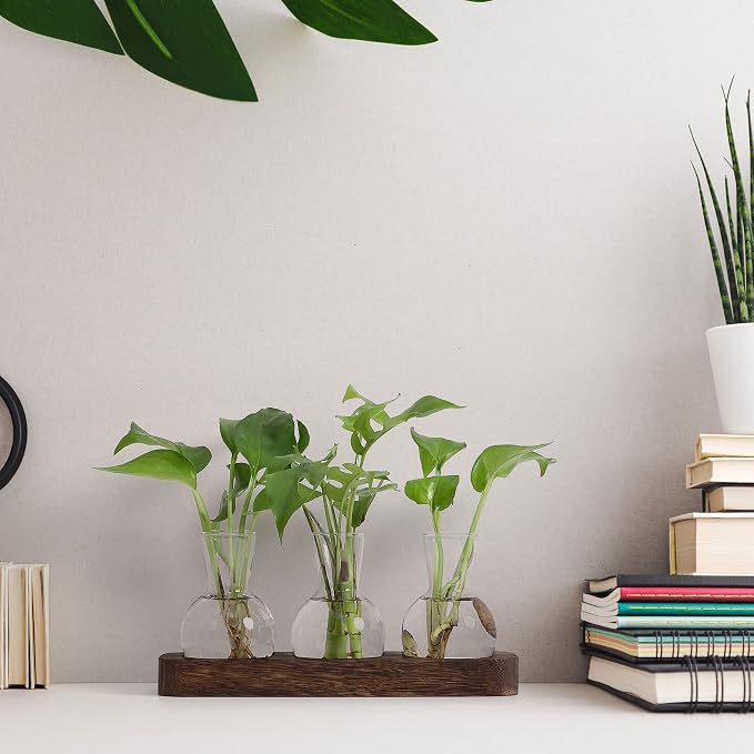 YIBOT Propagation Stations,Plant Propagation Vase,Desk Plant Terrarium with Retro Wooden Stand,Plant Lover Gifts for Women for Hydroponics Plants Home Garden Wedding Decor(3 Vase)