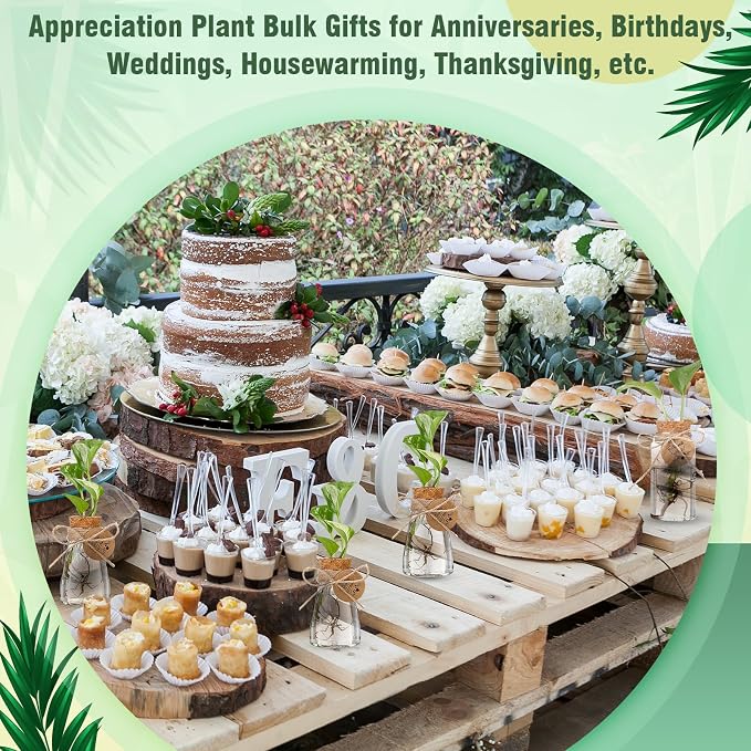 Baderke 12 Pack 3.35'' Plastic Plant Propagation Stations with Hole Lid Planter Vase Clear Propagation Jars with Thank You Tags for Plant Lover Gifts for Women Office Home Garden