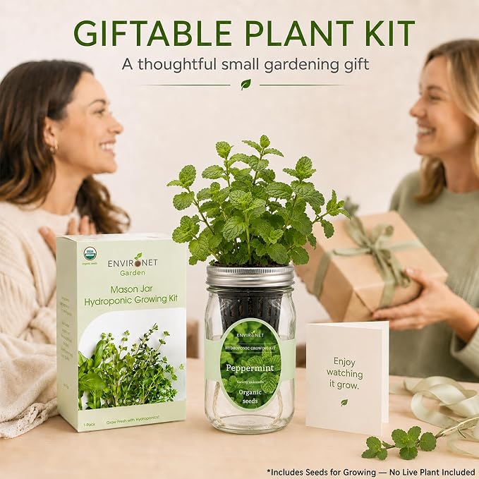 Hydroponic Herb Growing Kit, Self-Watering Mason Jar Herb Garden Starter Kit Indoor, Grow Your Own Herbs from Seeds (Peppermint)