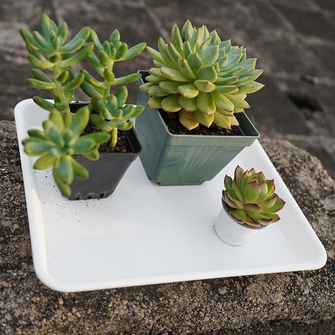 VUWEZ 2 Pack Plant Saucer, Nursery Trays, Heavy Sturdy Seed Starting Tray for Indoors No Holes, Starter Growing Tray (17.5"x10.6", Creamy White)