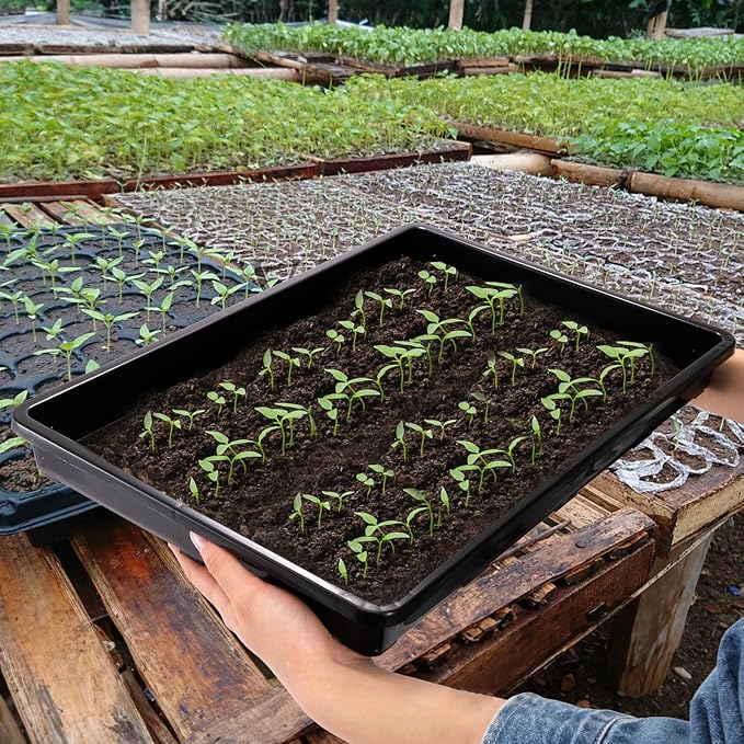ZAVOOS 6 Pack Nursery Potting Trays, Plastic Seedling Starter Tray with No Drain Holes, Easy Watering Flat Garden Plant Growing Tray for Indoor Greenhouse Germination, 17.3'' x 11.6'' x 1.3''