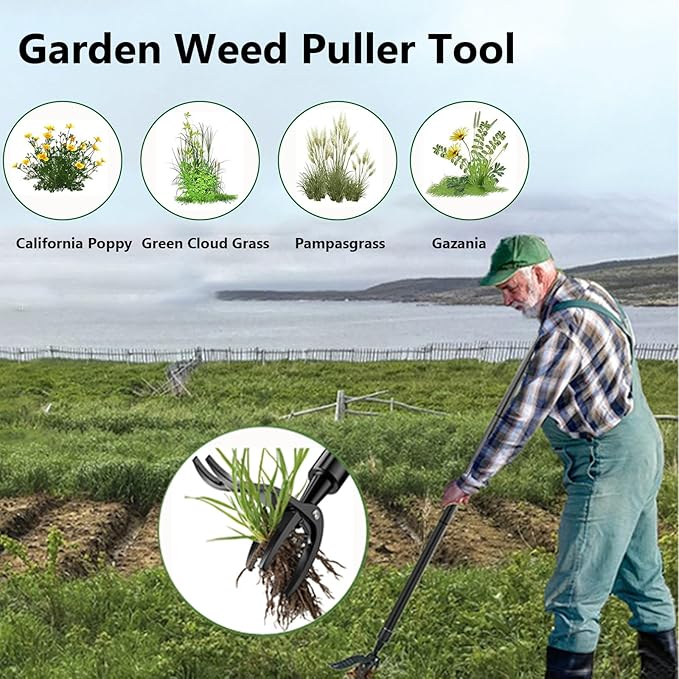 Stainless Steel Weed Puller Tool, 4 Claw Portable Weeding Tool, Gardening Hand Weeder Tools with Long Handle for Weed Pulling Digging Planting, Weed Remover for Garden Lawn Yard Patio