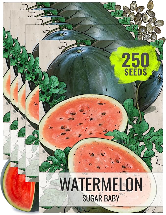 Seed Needs Watermelon Seeds for Planting Sugar Baby Watermelons - Non-GMO Heirloom & Untreated - Grow an Outdoor Home Grown Garden Filled with Sweet Fruits (5 Packs)