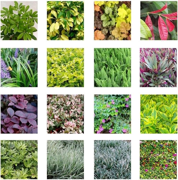 36 Pockets Living Wall Planter Indoor, Self Watering Wall Hanging Planters for Outdoor Plants Stackable, Cascading Vertical Planter Garden (Green)