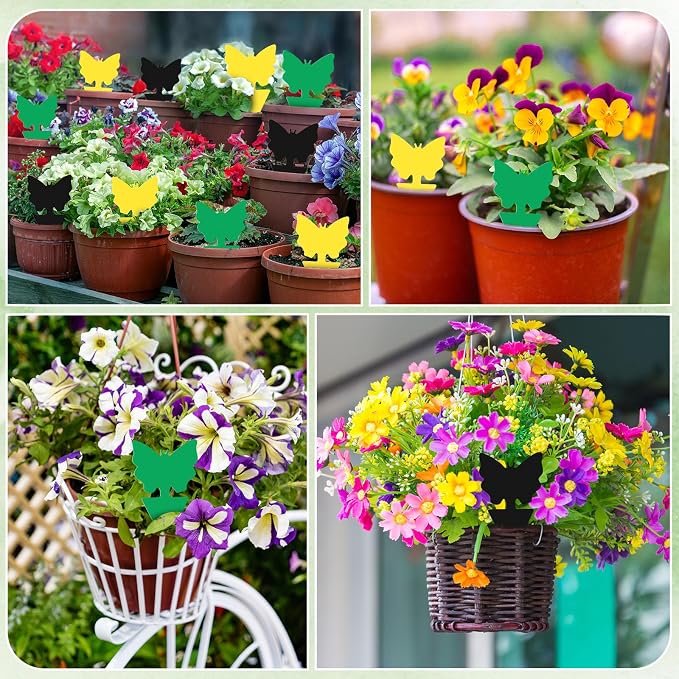 60 Pack Fruit Fly Traps Fungus Gnat Sticky Traps Yellow Black Green Plant Fly Stickers Double Side with Shovel for Indoor Outdoor Kitchen Garden Houseplant Flying Bug Insect (Butterfly)