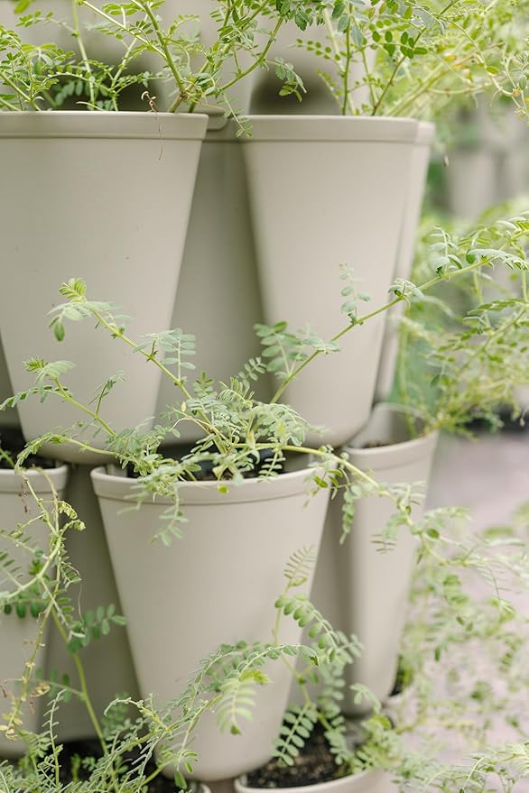 Greenstalk 3 Tier Original Vertical Planter in Stunning Stone (Evergreen)
