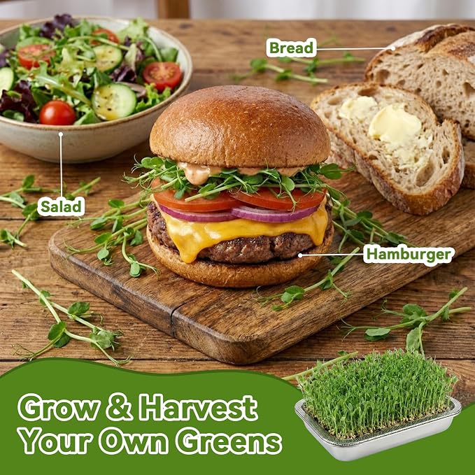 2-Pack Stainless Steel Seed Sprouting Tray Kit, Soil-Free Microgreens Growing Kit with Towel & Gauze, Sprouting Trays for Microgreens Beans Alfalfa Broccoli Wheat Grass (10.6" x 7.8")