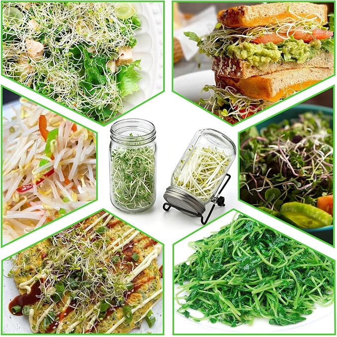 Sprouting Jar Kit 4 PCS 1000ml(35oz) Wide Mouth Mason Jars with 304 Stainless Steel Sprout Lids Drain Tray Stainless Steel Stand Cleaning Brush Sprouts Growing Kit for Bean, Broccoli, Alfalfa