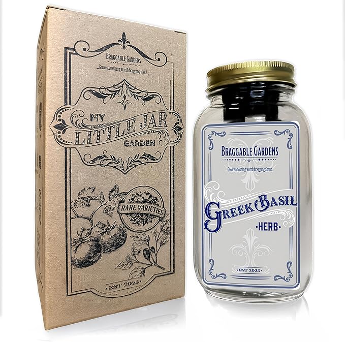 Greek Basil Indoor Herb Garden Kit β Mason Jar Hydroponic Grow Kit β Windowsill Countertop Basil Planter β Grow Fresh Basil Indoors