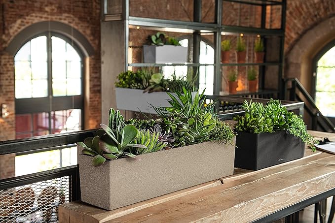 Lechuza BALCONERA Stone 80 Sand Beige, Self-Watering Window Box (Railing Planter), H7.5 L31.1 W7.5 in
