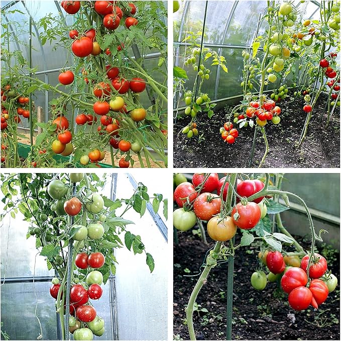 Sturdy Metal Garden Stakes 4 Ft Tomato Cage Plastic Coated Steel Plant Sticks for Tomatoes,Trees,Cucumber,Fences,Beans,Pack of 50