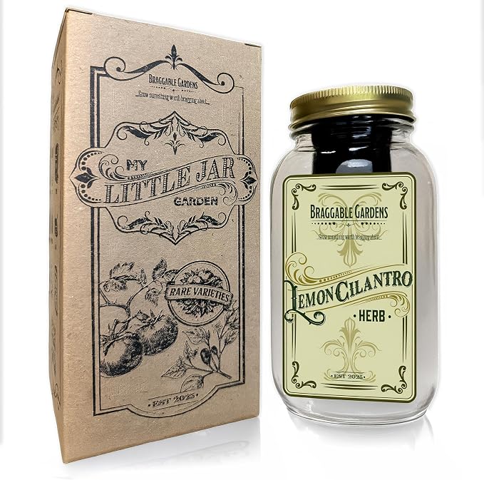 Lemon Cilantro Indoor Herb Garden Kit β Mason Jar Hydroponic Grow Kit β Windowsill Countertop Herb Planter β Grow Fresh Cilantro Indoors