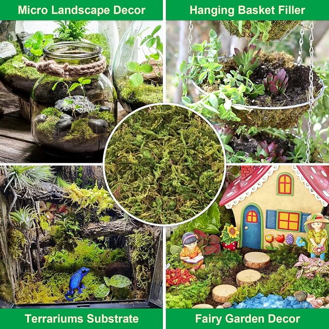 Legigo 3.3LBS Sphagnum Moss for Plants, 60QT Natural Orchid Moss Potting Mix Dried, Green Forest Plant Moss for Orchid Repotting Carnivorous Succulents Indoor Potted Plants Gardening and Reptiles