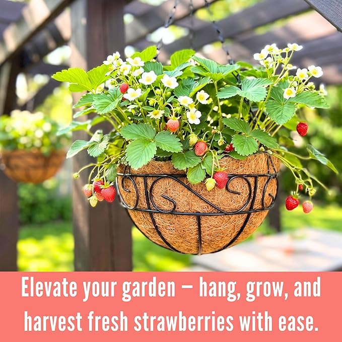 LaLaGreen Hanging Planter for Outdoor Plants (20 Inch, 2 Pack) Hanging Baskets with Coco Liner, Black Metal Wire Flower Basket Pots with Hook Hanger Balcony Porch Farmhouse Country Style Garden Decor