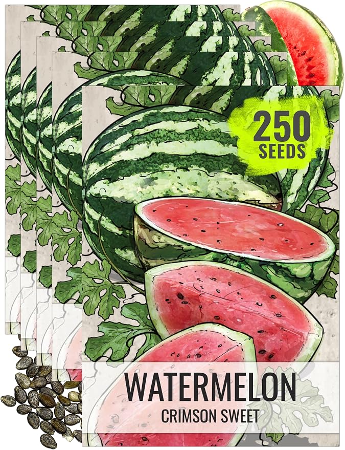 Seed Needs Watermelon Seeds for Planting Crimson Sweet Watermelons - Non-GMO Heirloom & Untreated - Grow an Outdoor Home Grown Garden Filled with Sweet Fruits (5 Packs)