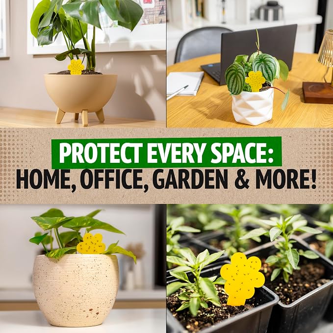 Super Ninja Fungus Gnat Traps - 60 Pack, Highly Effective Gnat Traps for House Indoor, Yellow Sticky Trap for Plants, Non-Toxic & Nature-Friendly, Up to 3 Months
