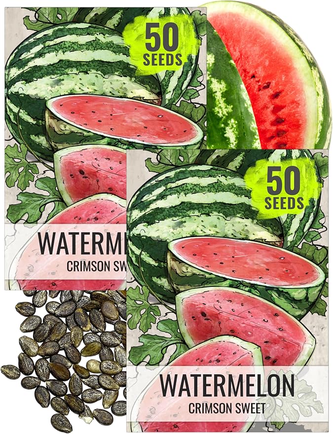 Seed Needs Watermelon Seeds for Planting Crimson Sweet Watermelons - Non-GMO Heirloom & Untreated - Grow an Outdoor Home Grown Garden Filled with Sweet Fruits (2 Packs)
