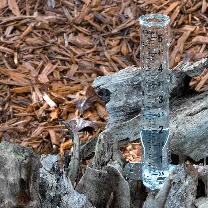 La Crosse 704-1514 5 Inch Glass Rain Gauge