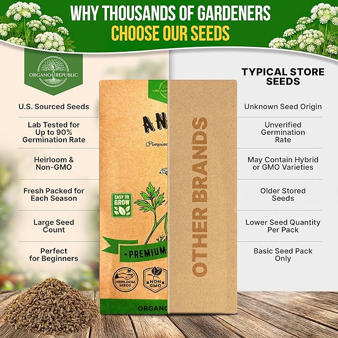 Organo Republic Anise Seeds Pack 5G - Over 1800 Non-GMO Heirloom Anise Seeds for Planting Herbs in Individual Seed Packet, Herbs Seeds for Planting Home Garden Indoor & Outdoor Gardening