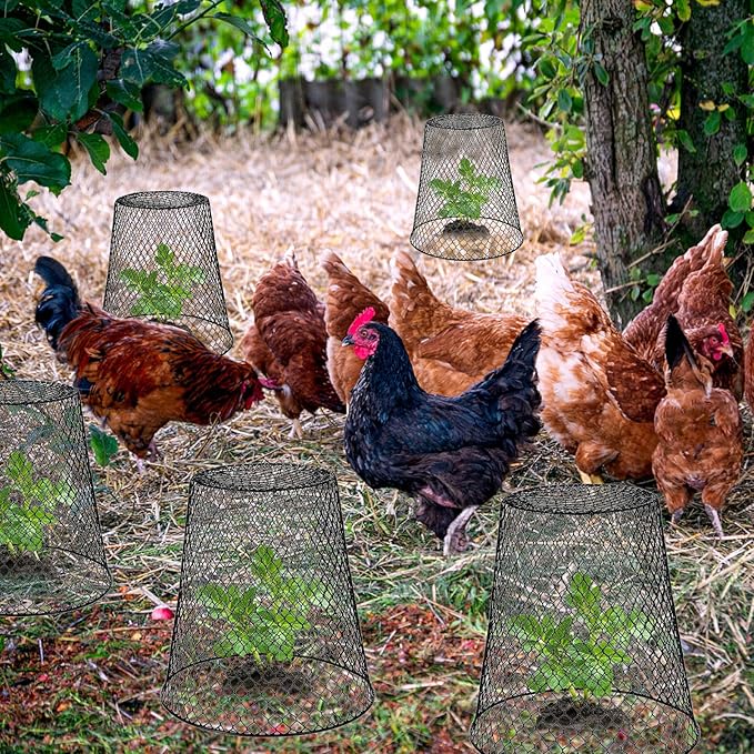 10 Pack 9.13"×9.13" Chicken Wire Cloche Plant Covers - Garden Plant Cloche Metal Heavy Duty Plant Protectors from Animals for Keeping Bunnies Chicken Squirrels Birds Other Out (10, Black)