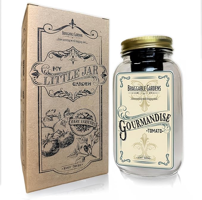 Gourmandise Yellow Cherry Tomato Indoor Garden Kit β Mason Jar Hydroponic Tomato Grow Kit β Windowsill Countertop Tomato Planter β Grow Tomatoes Indoors