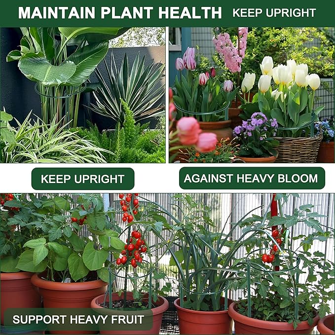 6 Pack Peony Cages and Supports, 10" (W) x 24"(H) Plant Support, Rust-Proof Metal Plant Support Stakes for Outdoor&Indoor Plants