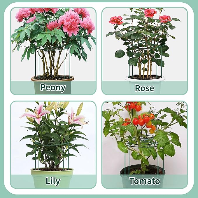 4 Sets Peony Support Cage,24"Diax32"High Heavy Duty Metal Plant Support,Grow Through Hoops Grids with 4 Thickened 6mm Legs,Strong Support Brace for Heavy Blossoms,Flower Support Ring for Peonies,Rose