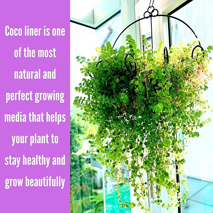 Shoplala Wall Planters Outdoor Plants (10 Inch, 6 Pack) Balcony Planters Railing Hanging Fence Planter Over Railing with Coco Liner, Wall Mounted Flower Basket Black Metal Wire Deck Porch Patio Garden