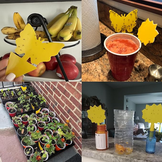 Garsum Gnat Killer Indoor Fruit Fly Traps Yellow Sticky Plants Bug Fungus Fly Catcher Outdoor,36 Pack