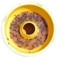 Torula Yeast Bait - 20 Pellets, Food Bait for Tephritid Fruit Flies