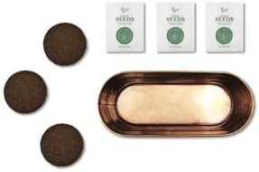 Buzzy Seeds Organic Windowsill Herb Kit - Metal Windowsill Planter - Complete Indoor Gardening Kit with Seeds, Coconut Husk Growing Medium & Genuine Pots - 100% Grow Guarantee