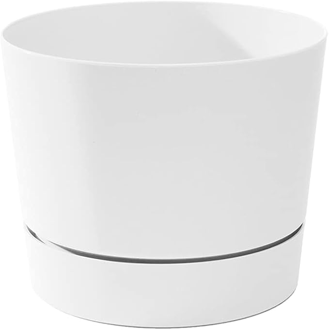 Root & Vessel Majestic Mid-Century Modern Low Profile Cylinder Pot, Matte White, 10.5"